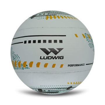 Bola de Punhobol Masculina Microfibra Dry Ludwig