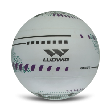 Bola de Punhobol Masculina Microfibra Wet Ludwig