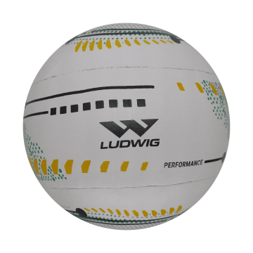 Bola de Punhobol Masculina Ludwig