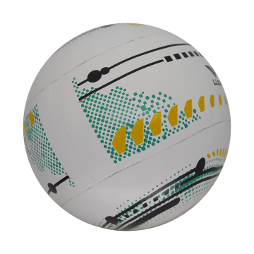 Bola de Punhobol Masculina Ludwig